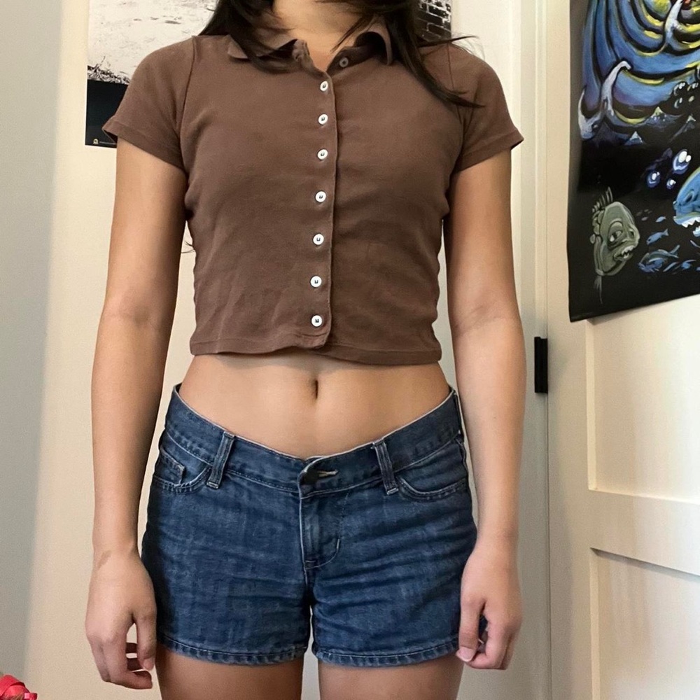 Brandy Melville Caroline Brown Button Up Crop Top